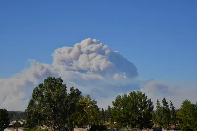 DSC_5594 (Large).JPG